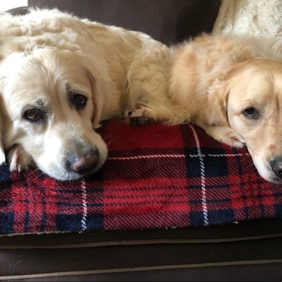 Meet your Posher, Cheryl - Picture 6 of 12